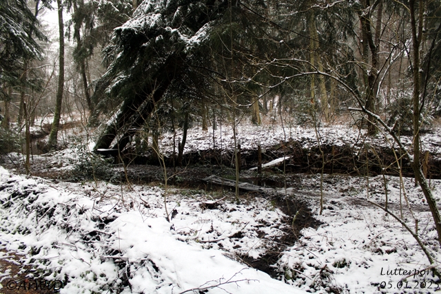 Dieses Foto zeigt die Wassertretstelle am Lutterport und den bedarfsübergang in das Naturschutzgebiet "Weesener Bach".