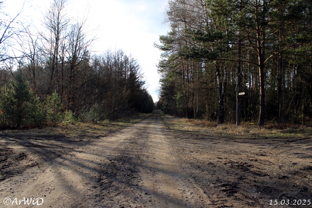 Weg in Richtung Angelbecksteich und Dehningshof