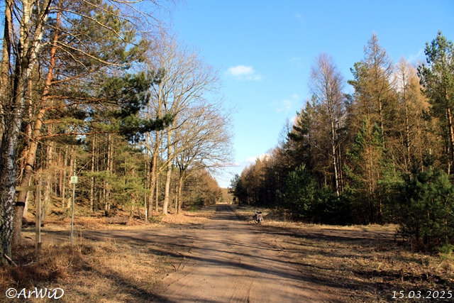 Weg in Richtung Starkshorn und Rebberlah durch die Wildschutzgatter.